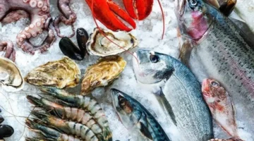 أسعار اليوم.. تحديث شامل لأسعار الأسماك والجمبري الأحد 2 نوفمبر 2025